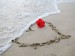 Love+is,+water,+sand,+flower,+fire,+earth,+air..+Love+Is
